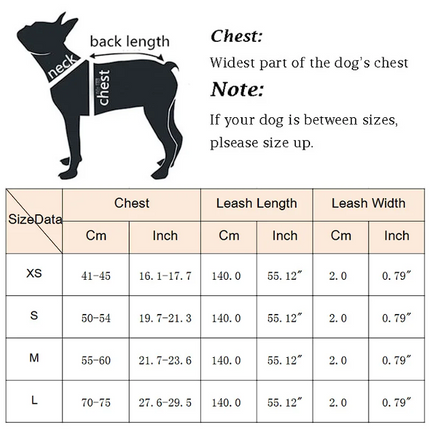 No Pull French Bulldog Harness - Frenchie Complex Shop