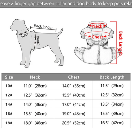Outdoor Warm French Bulldog Jacket - Blue / No. 10 - Frenchie Complex Shop
