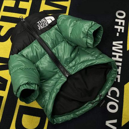 The Dog Face Jacket - Green / S - Frenchie Complex Shop