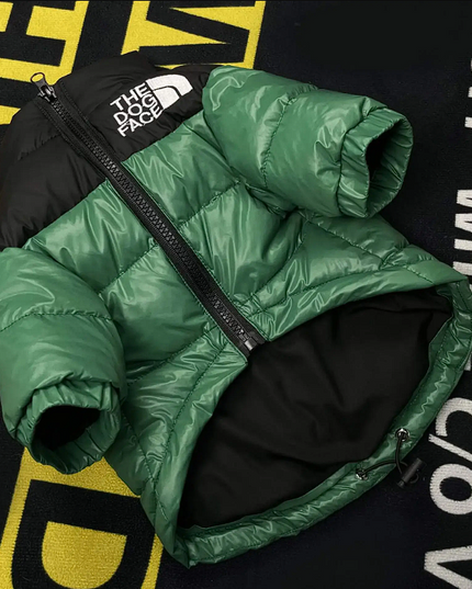 The Dog Face Jacket - Green / S - Frenchie Complex Shop