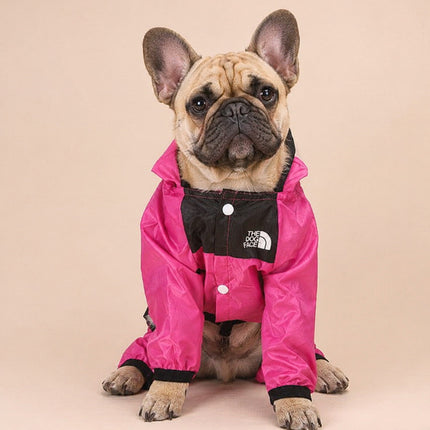 The Dog Face Raincoat