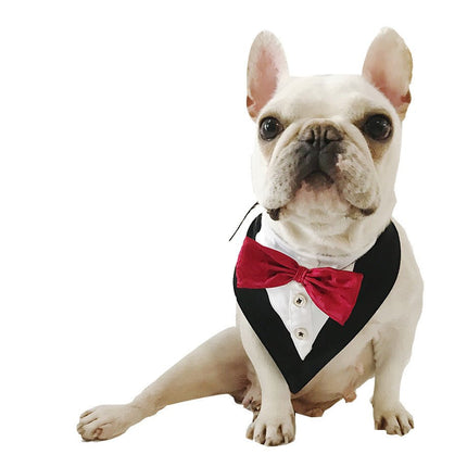 Elegant French Bulldog Bandana - Red - Frenchie Complex Shop