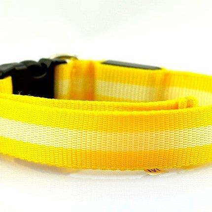 LED Dog Collar - Yellow / XS NECK 28-38 CM - Frenchie Complex Shop