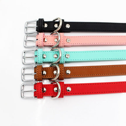 French Bulldog Collars - Frenchie Complex Shop