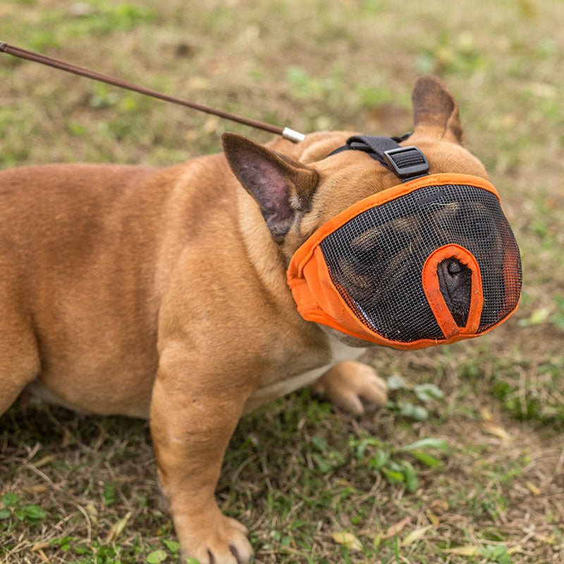 Muzzle for French Bulldogs - Frenchie Complex Shop