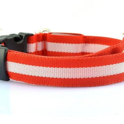 LED Dog Collar - Red / XS NECK 28-38 CM - Frenchie Complex Shop