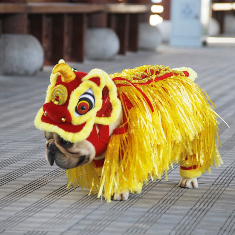 French Bulldog Lion Costume - L - Frenchie Complex Shop