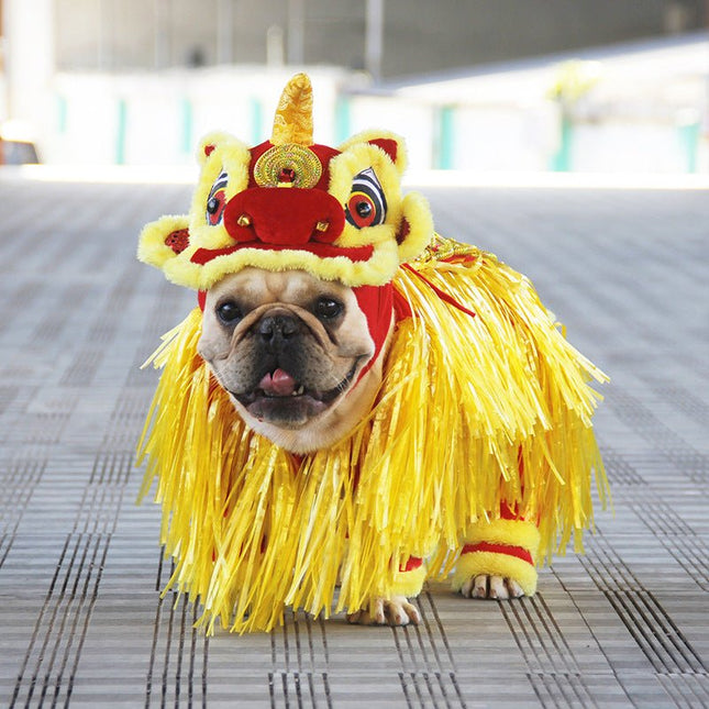 French Bulldog Lion Costume - Frenchie Complex Shop