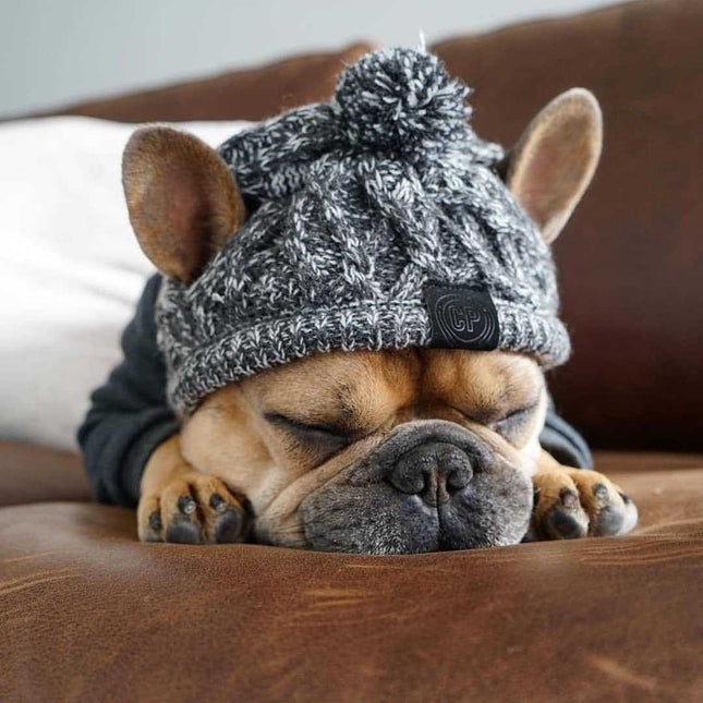 Winter Hat for French Bulldog - Frenchie Complex Shop