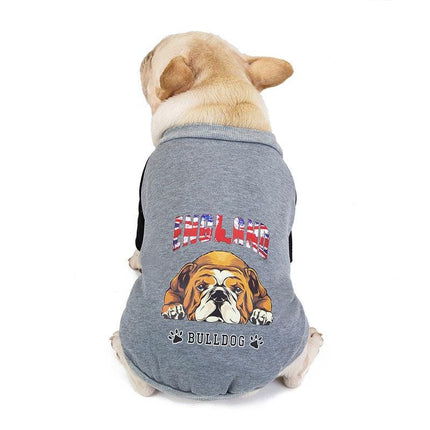 Frenchie Complex® Velvet Dog Sweater - Grey / S - Frenchie Complex Shop