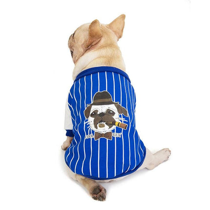 Frenchie Complex® Velvet Dog Sweater - Blue / S - Frenchie Complex Shop