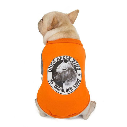 Frenchie Complex® Velvet Dog Sweater - Orange / S - Frenchie Complex Shop