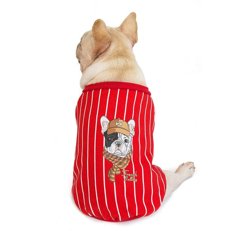 Frenchie Complex® Velvet Dog Sweater - Red / S - Frenchie Complex Shop