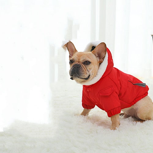 French Bulldog Winter Jacket - Red / XS - Frenchie Complex Shop