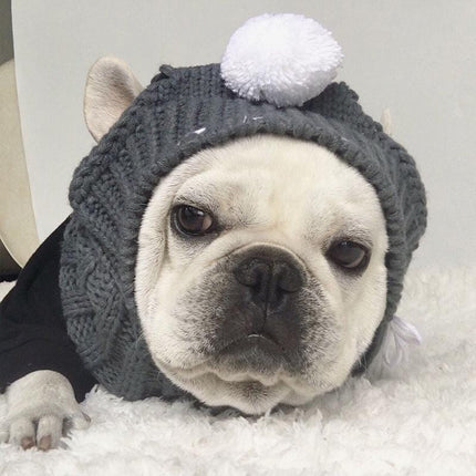 Woolen French Bulldog Hat - Grey - Frenchie Complex Shop
