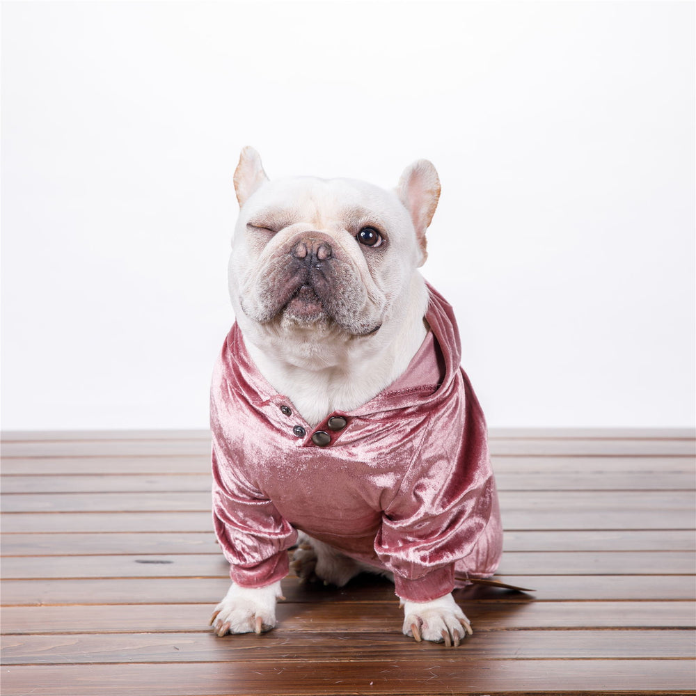French Bulldog Spring Hoodie - Frenchie Complex Shop