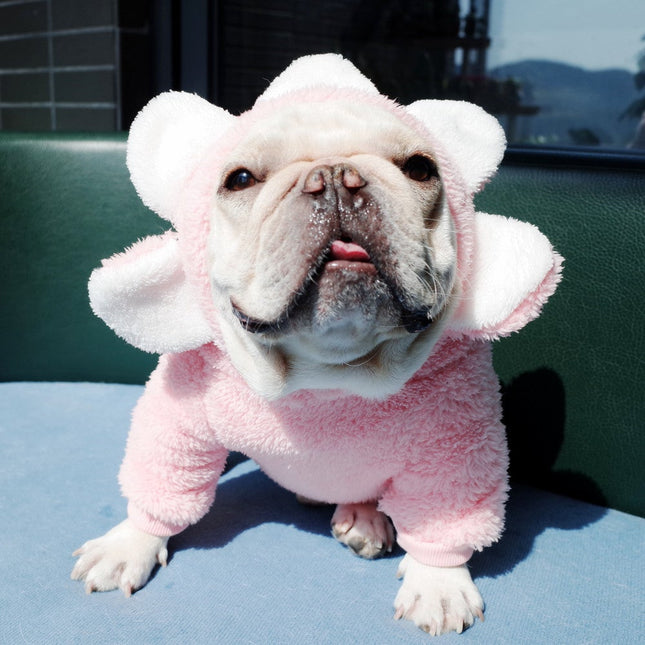 Flower French Bulldog Sweater - Pink / S - Frenchie Complex Shop