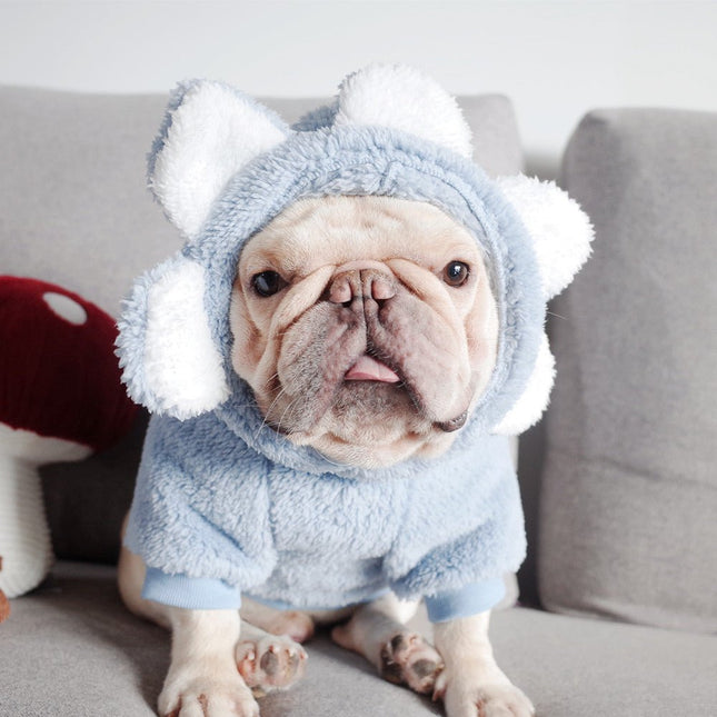 Flower French Bulldog Sweater - Blue / S - Frenchie Complex Shop