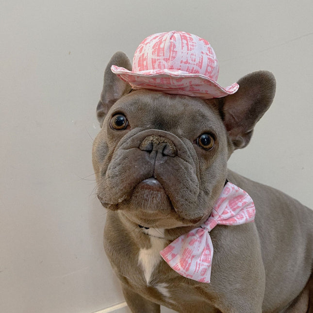 Frenchie Unisex Hat - Frenchie Complex Shop
