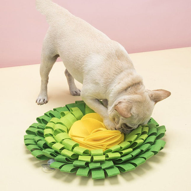 Dog Snuflemat for IQ development - Frenchie Complex Shop