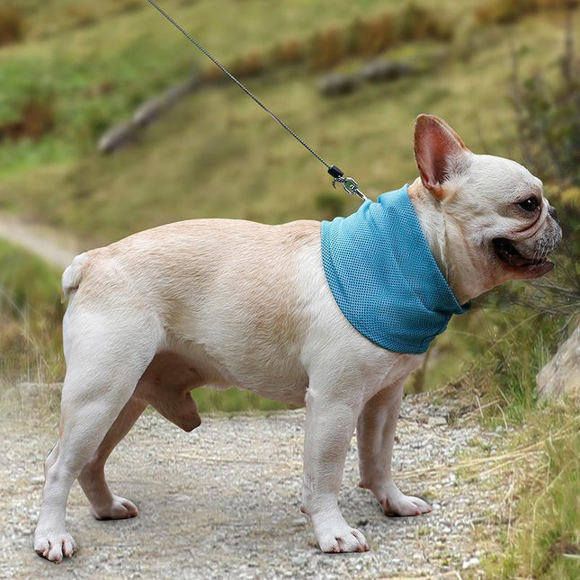 Summer French Bulldog Cooling Bandana - Frenchie Complex Shop