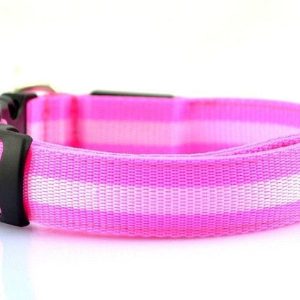 LED Dog Collar - Pink / XS NECK 28-38 CM - Frenchie Complex Shop