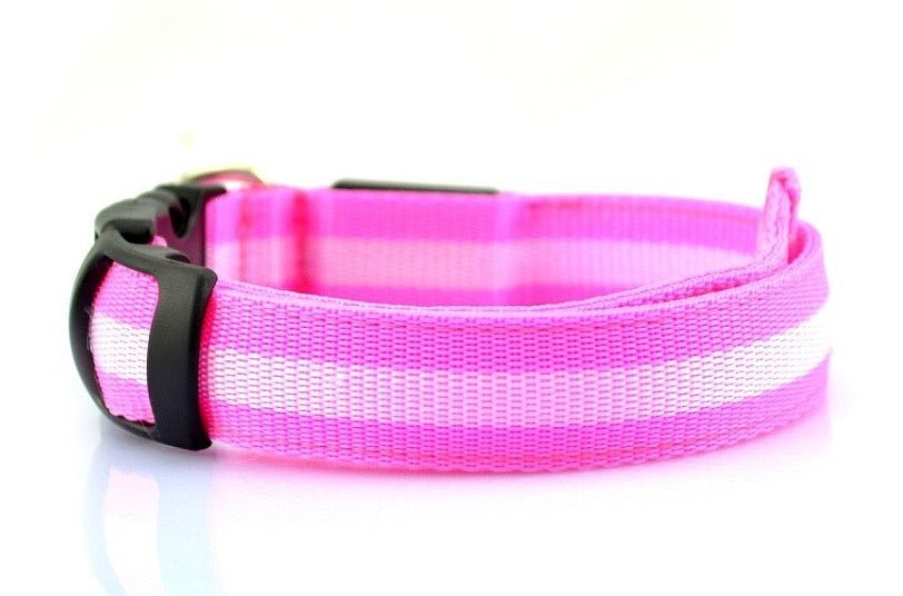 LED Dog Collar - Pink / XS NECK 28-38 CM - Frenchie Complex Shop