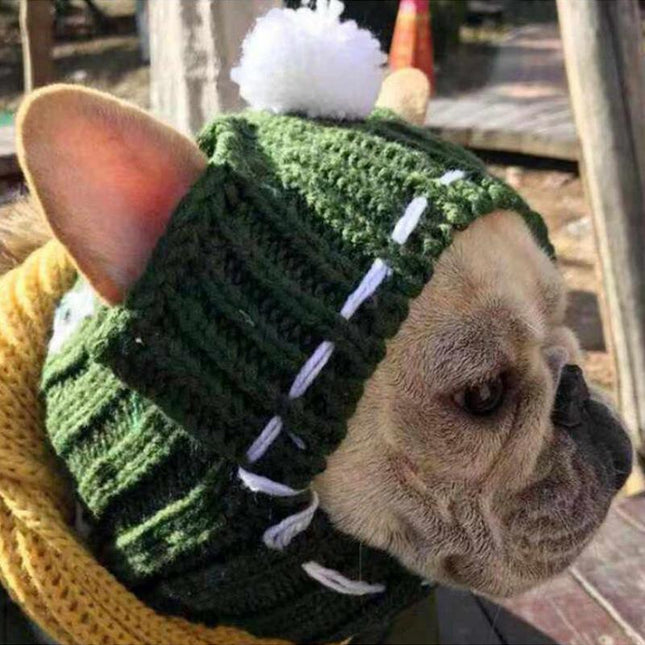 Woolen French Bulldog Hat - Green - Frenchie Complex Shop