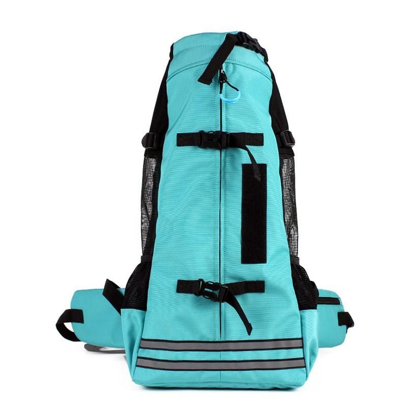 Hiking French Bulldog Backpack - Turquoise / M - Frenchie Complex Shop