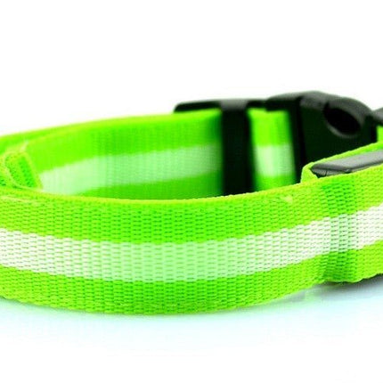 LED Dog Collar - Green / XS NECK 28-38 CM - Frenchie Complex Shop