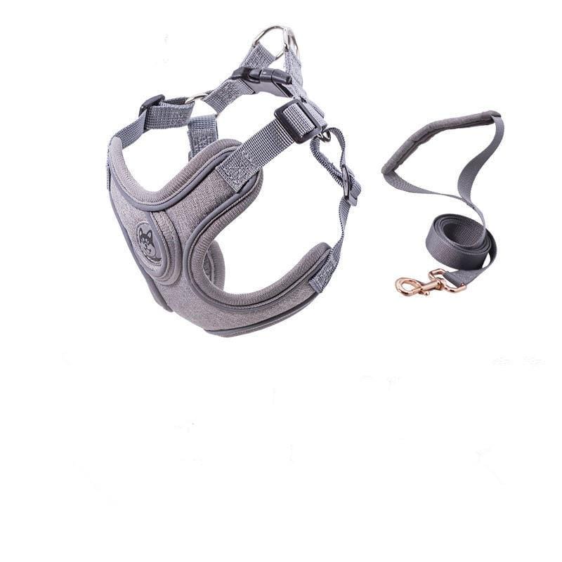 Reflective Frenchie Harness and Leash - Grey / M - Frenchie Complex Shop