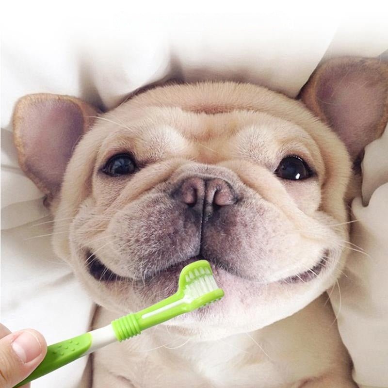Dog Toothbrush - Frenchie Complex Shop