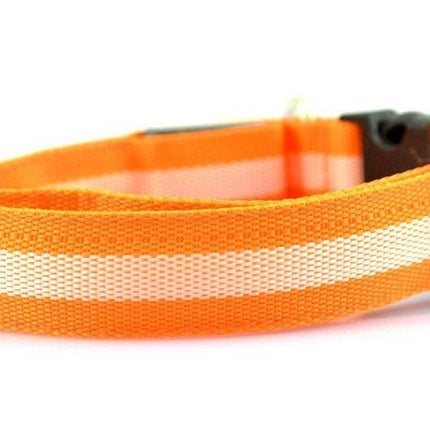 LED Dog Collar - Orange / XS NECK 28-38 CM - Frenchie Complex Shop