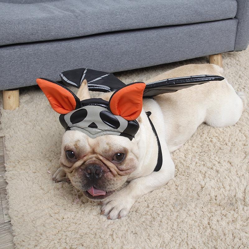 French Bulldog Halloween Hat - Frenchie Complex Shop