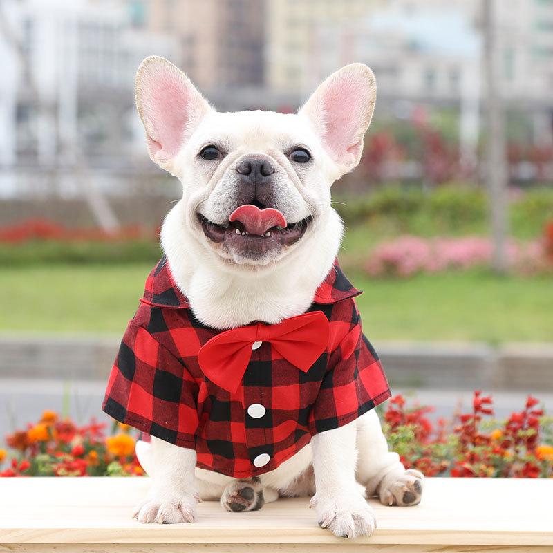 Plaid and Bowtie Frenchie Shirt - Red / XS - Frenchie Complex Shop
