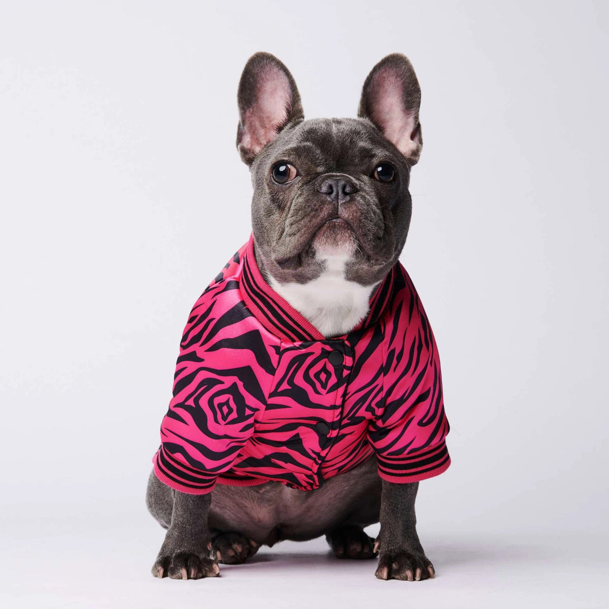 Pink French Bulldog Jacket - S - Frenchie Complex Shop