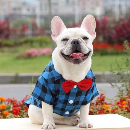Plaid and Bowtie Frenchie Shirt - Blue / XS - Frenchie Complex Shop