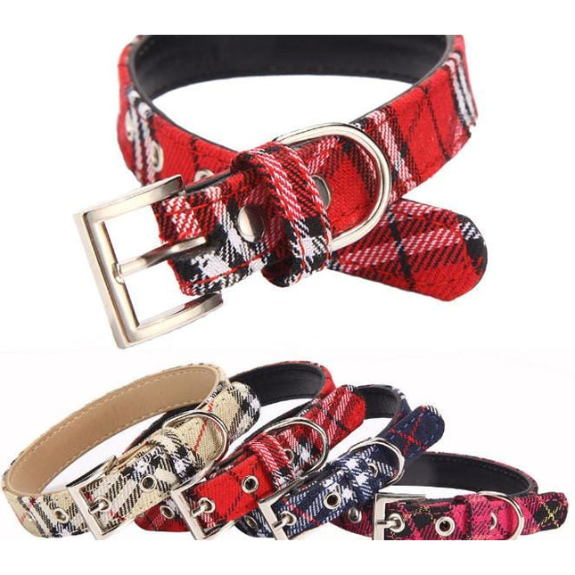 Leather Twill Frenchie Collar - Frenchie Complex Shop