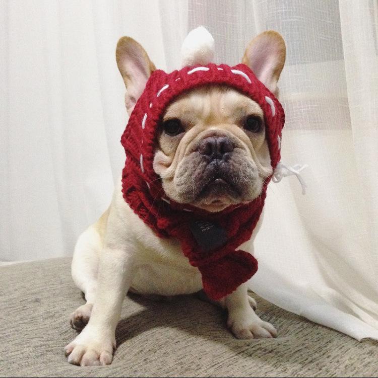 Woolen French Bulldog Hat - Red - Frenchie Complex Shop
