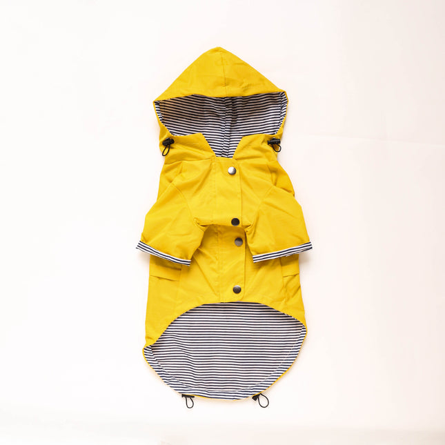 French Bulldog Raincoat - Yellow / L - Frenchie Complex Shop