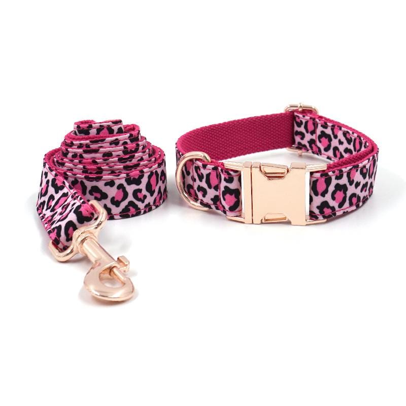 Leopard dog collar sales and leash