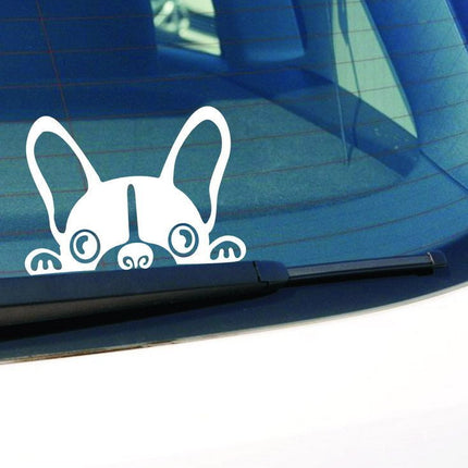 French Bulldog Sticker Car - White - Frenchie Complex Shop