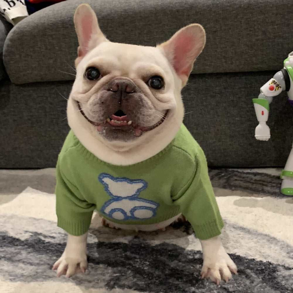 Green Woolen French Bulldog Sweater - Frenchie Complex Shop