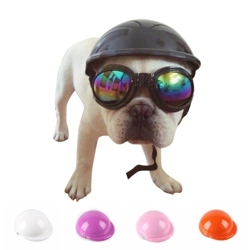 frenchie motorcycle helmet French Bulldog Helmet