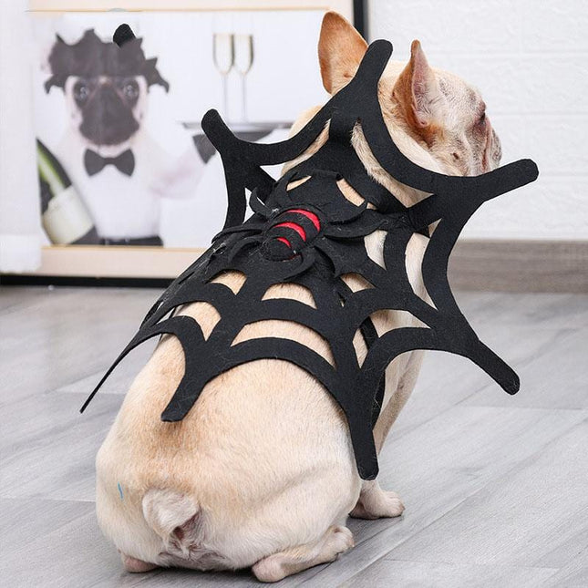 French Bulldog Spider Costume - Frenchie Complex Shop