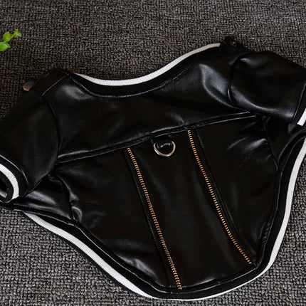 Leather French Bulldog Jacket - Frenchie Complex Shop