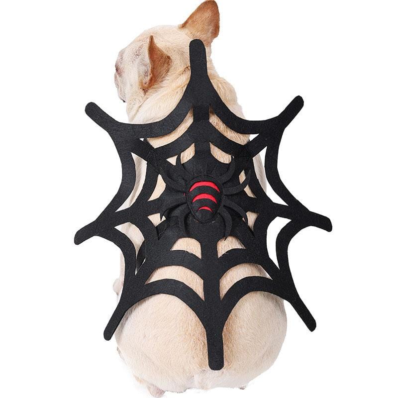 French Bulldog Spider Costume - Black / S - Frenchie Complex Shop