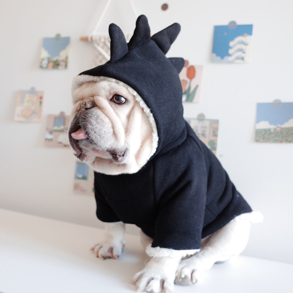 Black French Bulldog Hoodie - S - Frenchie Complex Shop