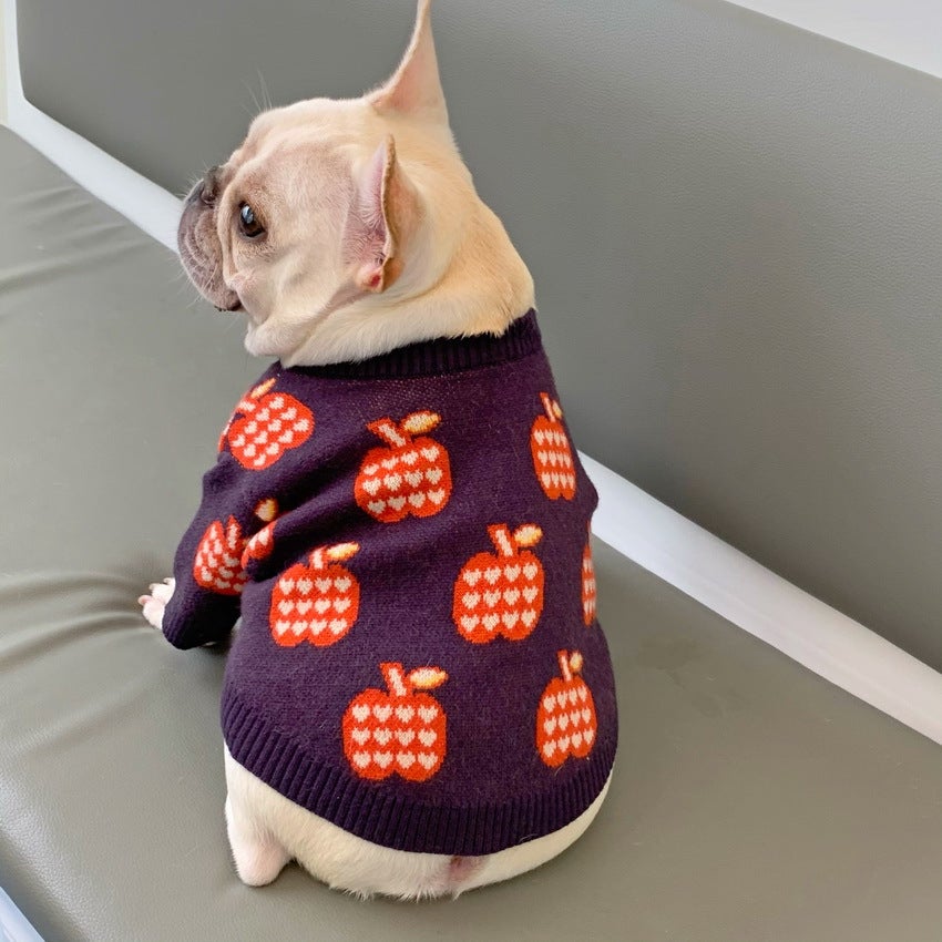 Red Apple French Bulldog Sweater - Violet / S - Frenchie Complex Shop