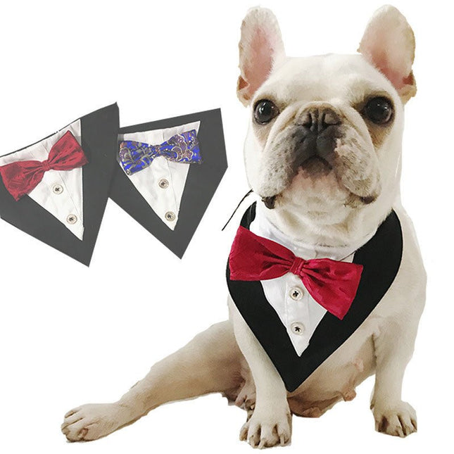 Elegant French Bulldog Bandana - Frenchie Complex Shop